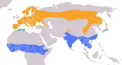 Mapa rozšíření krutihlava obecného (oranžově hnízdiště, modře zimoviště, zeleně celoroční výskyt)