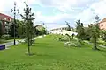 Pohled na zelený park