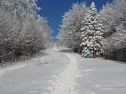 Kľačianska Magura