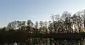 Rybník