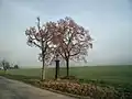 Okolní krajina