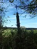 Kříž na východním okraji Březí nad Oslavou (Q94436563).jpg