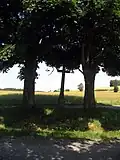Kříž u Kojkovic