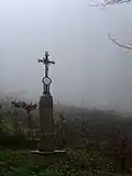 Na cestě z Holubova