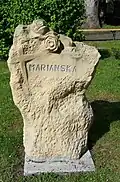 Mariánská – růže