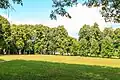 Křížová cesta na Mariánské Hoře u Horní Čermné