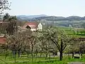Střechy domů