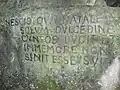 Detail skály "Salve Vale"