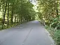 Silnice Křtinským údolím