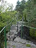 Cesta k vyhlídce na Sokolohradech