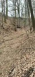 Kaňon u polní cesty nad zahrádkami
