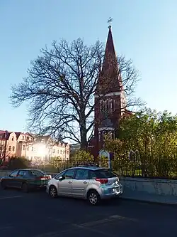 Dub sv. Petra a Pavla