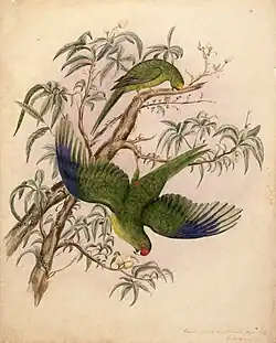 Charles Heaphy (1839)