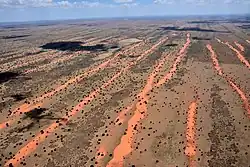 Poušť Kalahari na území Namibie