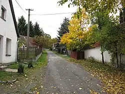 Cesta