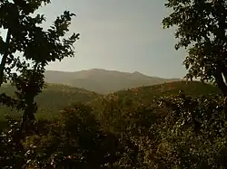 Kalsúbáí