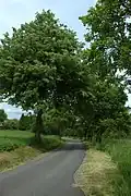 Příjezd k vesnici