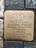 Detail kamenu Soni Sedlákové, Jiráskovo náměstí v Praze