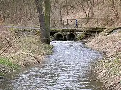 Kamenický potok pod Zbořeným Kostelcem