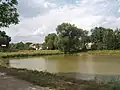 Rybník