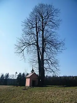 Kaple Nejsvětější Trojice (2016)
