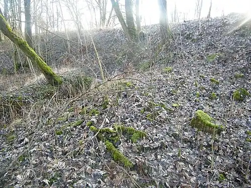 Ruiny kaple (2016)