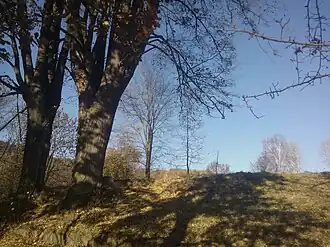 Místo, kde kaple stála (2015)