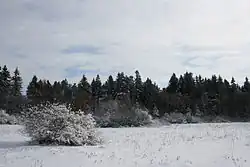 Kaproun