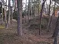 Příkop hradiště na kopci Kapucín