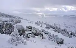 pohled od Szrenice