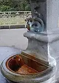Detail pramenní vázy, 13. března 2019