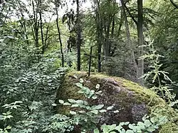Skála nad Lesní pobožností