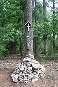Foto: 28. srpna 2019