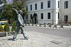 Boční pohled