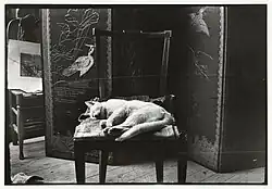 Kat op een stoel in Breitner's atelier in Amsterdam
