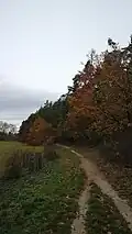 Pohled z pěšiny, která v tomto místě již protíná hranici PR