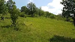 louka v PP Kavky