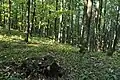 Kazatelna