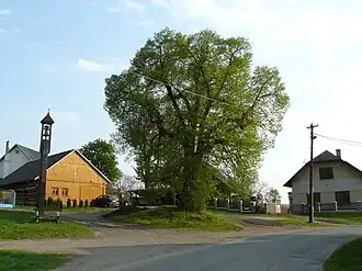 Kdanice - náves
