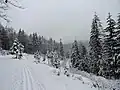 Ke Kolčarce