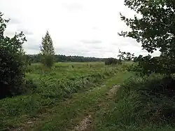 Kelské louky