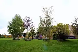 Keltský stromový kalendář v Praze-Stodůlkách