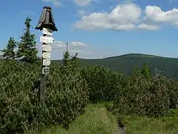 Pohled na Keprník od jihovýchodu (u Kamenného okna na Červené hoře)