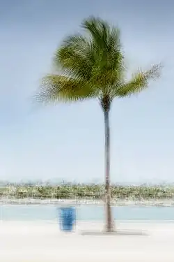 Key West