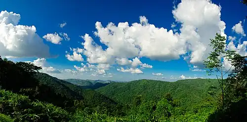 Khao Yai