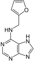 Kinetin, první identifikovaný cytokinin