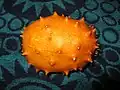 Kiwano (Cucumis metuliferus)