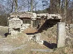 Klášter_kartouzský,_zřícenina_(Dolany).JPG