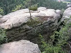 Vrcholová plošina