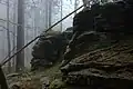 Skály